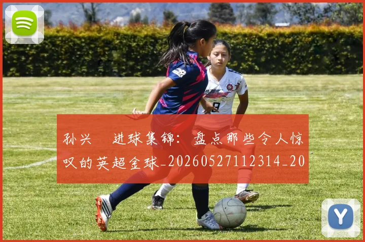 孙兴慜进球集锦：盘点那些令人惊叹的英超金球_20260527112314_20260609175019