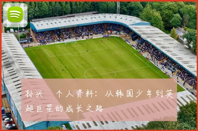 孙兴慜个人资料:从韩国少年到英超巨星的成长之路